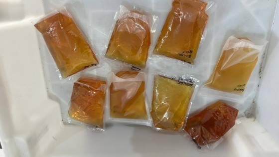  Advogada é flagrada tentando entrar com pacotes de uísque na Penitenciária