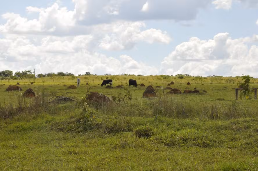  Bancos vão priorizar grande produtor em linha Ecoinvest