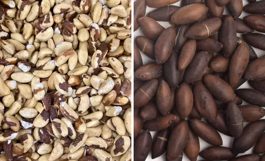  Brasil abre mercados para o agro na Malásia e em Mianmar