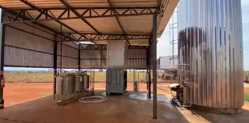  Com apoio do Governo de MT, cooperativismo fortalece produção de leite na região do Araguaia