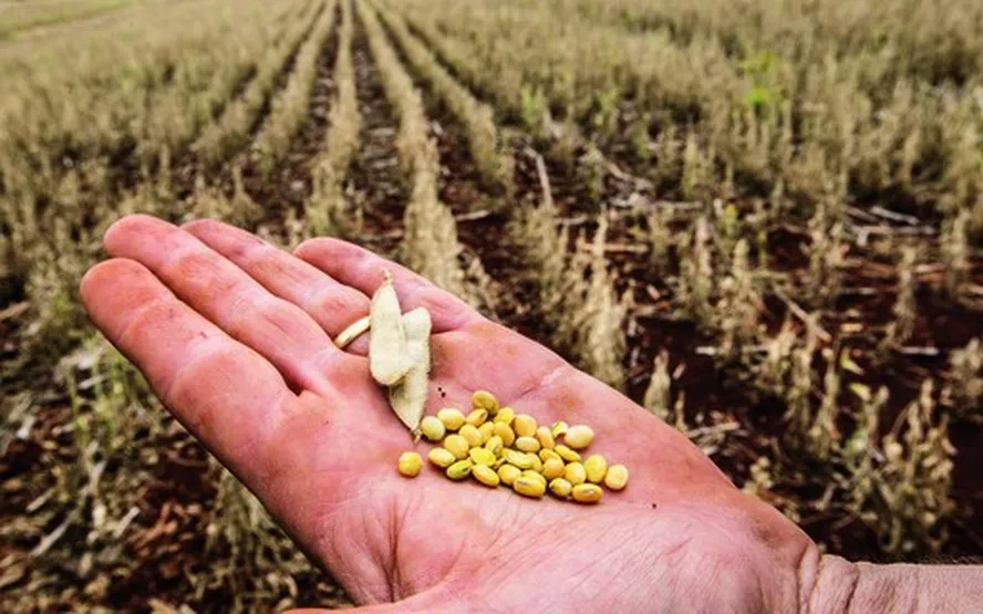  Comissão do Senado aprova projeto que torna obrigatória verba da União para o seguro rural
