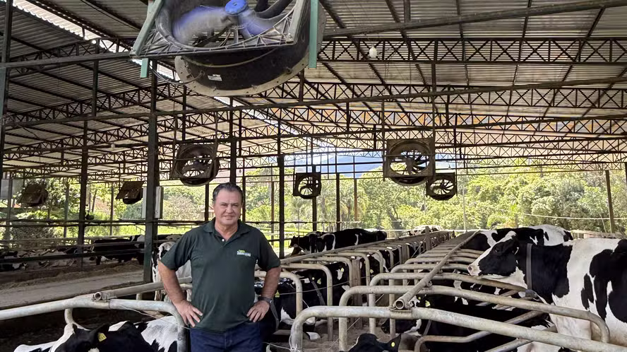 Como uma fazenda de MG alcançou produtividade de leite quatro vezes acima da média nacional