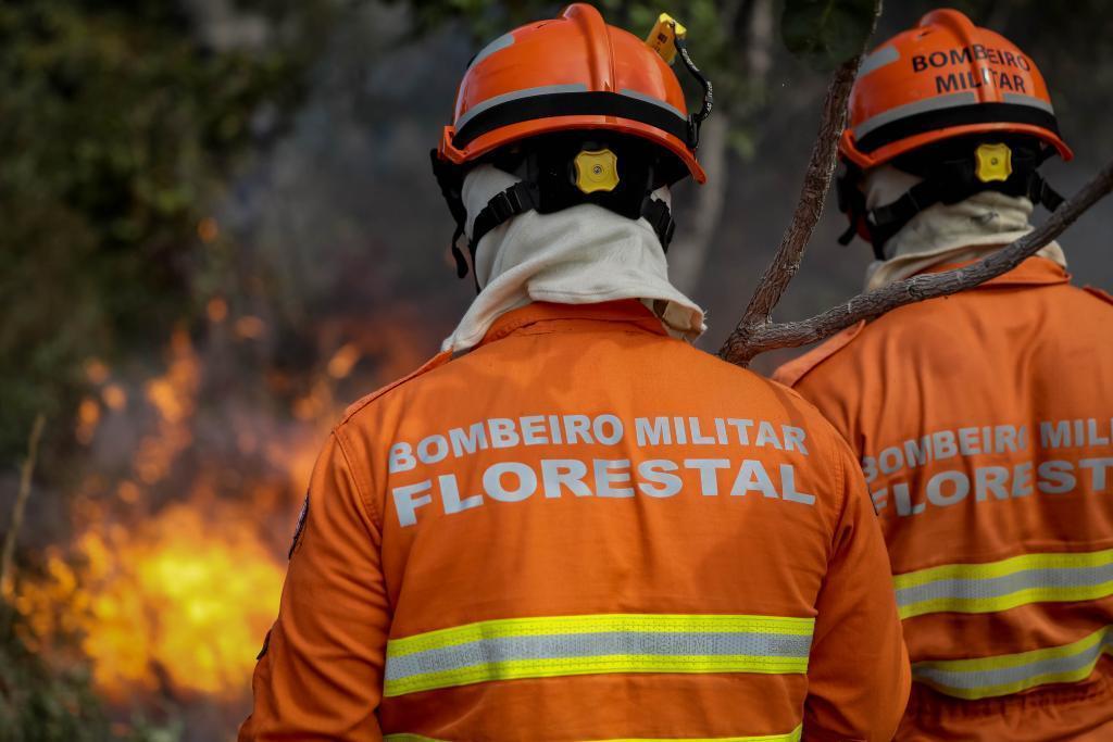 Corpo de Bombeiros combate 22 incêndios florestais neste domingo (31)