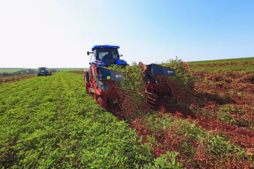 Cresce a busca por FDICs no setor