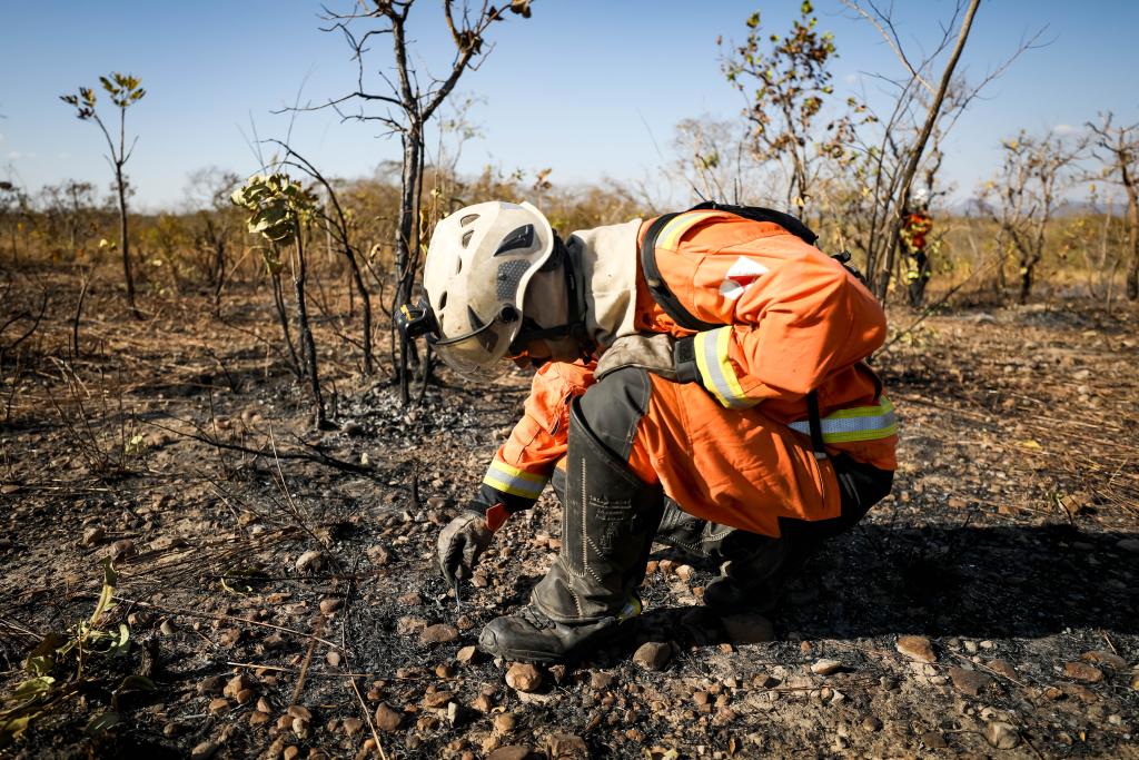 Em 10 dias de operação, equipes aplicam R$ 78 milhões em multas por crimes ambientais no Norte de MT