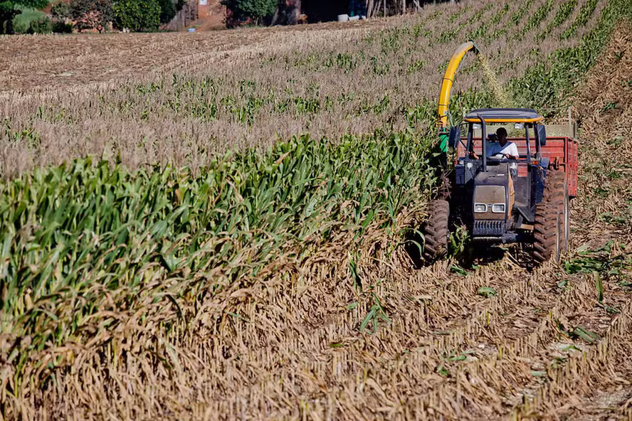  Endividamento fez crédito rural a pequeno produtor cair 30% no RS em 2025, diz Fetag