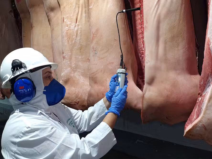  Governo autoriza frigoríficos a contratar empresas privadas para apoio à inspeção de abates