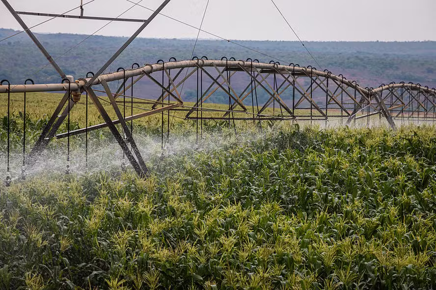  Governo propõe novas regras para descontos na tarifa de energia de irrigação e aquicultura