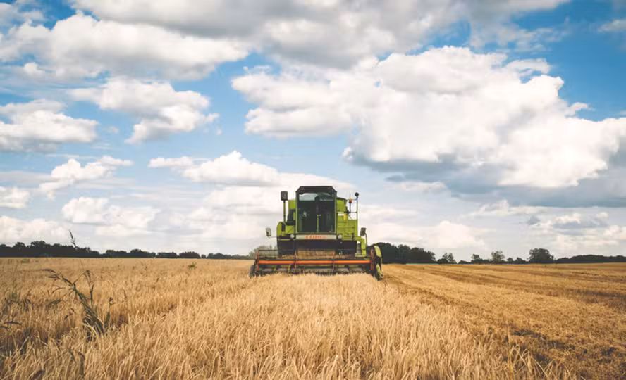  Inadimplência em alta no agro pressiona bancos, e crédito deve ficar mais restrito