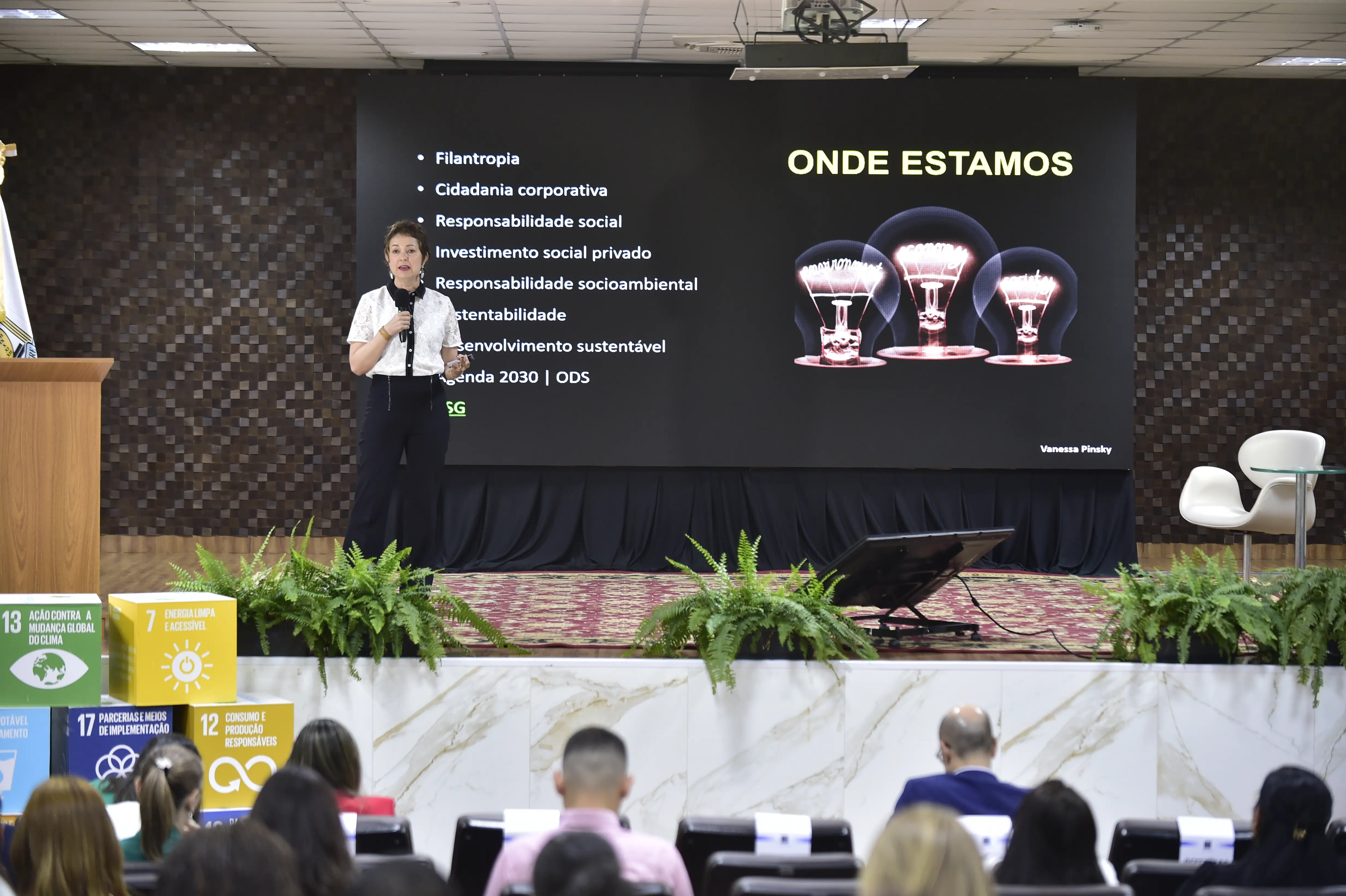Judiciário de Mato Grosso é citado como exemplo na implantação de agenda ambiental