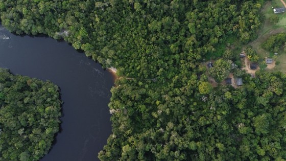 Justiça bloqueia R$ 3 mi de investigados por degradação em terra indígena