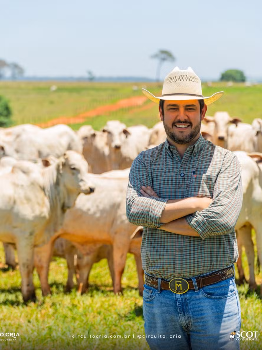  Melhora nas margens estimula alta no confinamento de bovinos