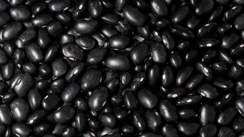  Mercado de feijão mantém firmeza apesar de poucos negócios