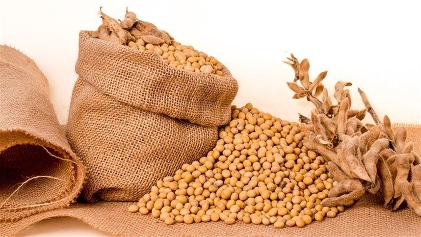  Mercado de soja segue incerto, aponta consultoria