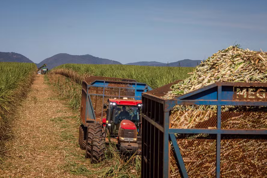  Moagem de cana e produção de açúcar e etanol cresceram no início de novembro