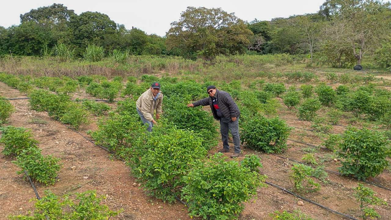  “Nunca vimos o pátio da Prefeitura tão cheio de máquinas”