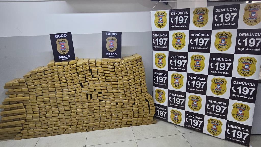  Polícia Civil apreende aproximadamente meia tonelada de maconha em VG
