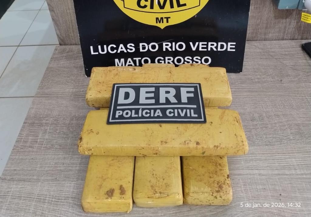  Polícia Civil apreende tabletes de maconha enterrados debaixo de pé de manga em Lucas do Rio Verde