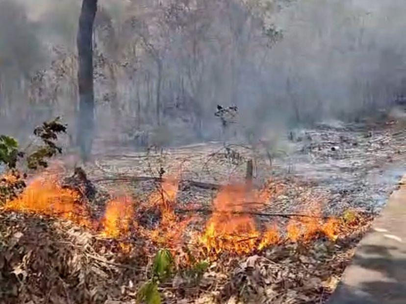 Polícia Militar prende homem em flagrante por provocar incêndio em área de vegetação urbana