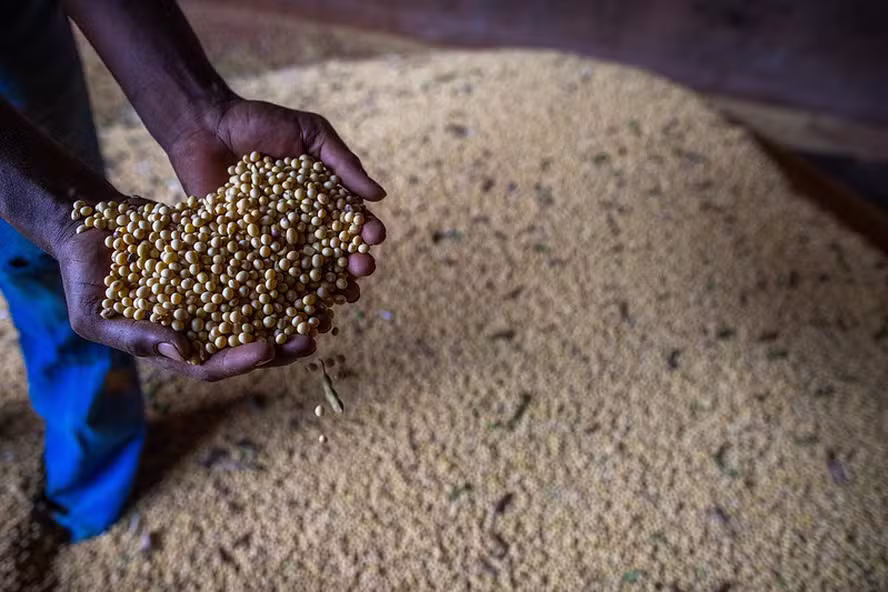 Preço da soja sobe em Mato Grosso com demanda em alta