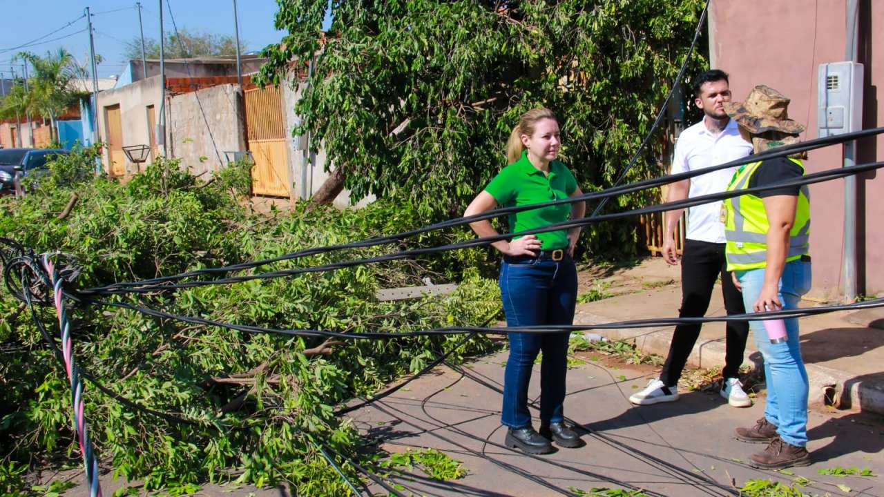 Prefeitura decreta situação de emergência após vendaval que atingiu diversos bairros