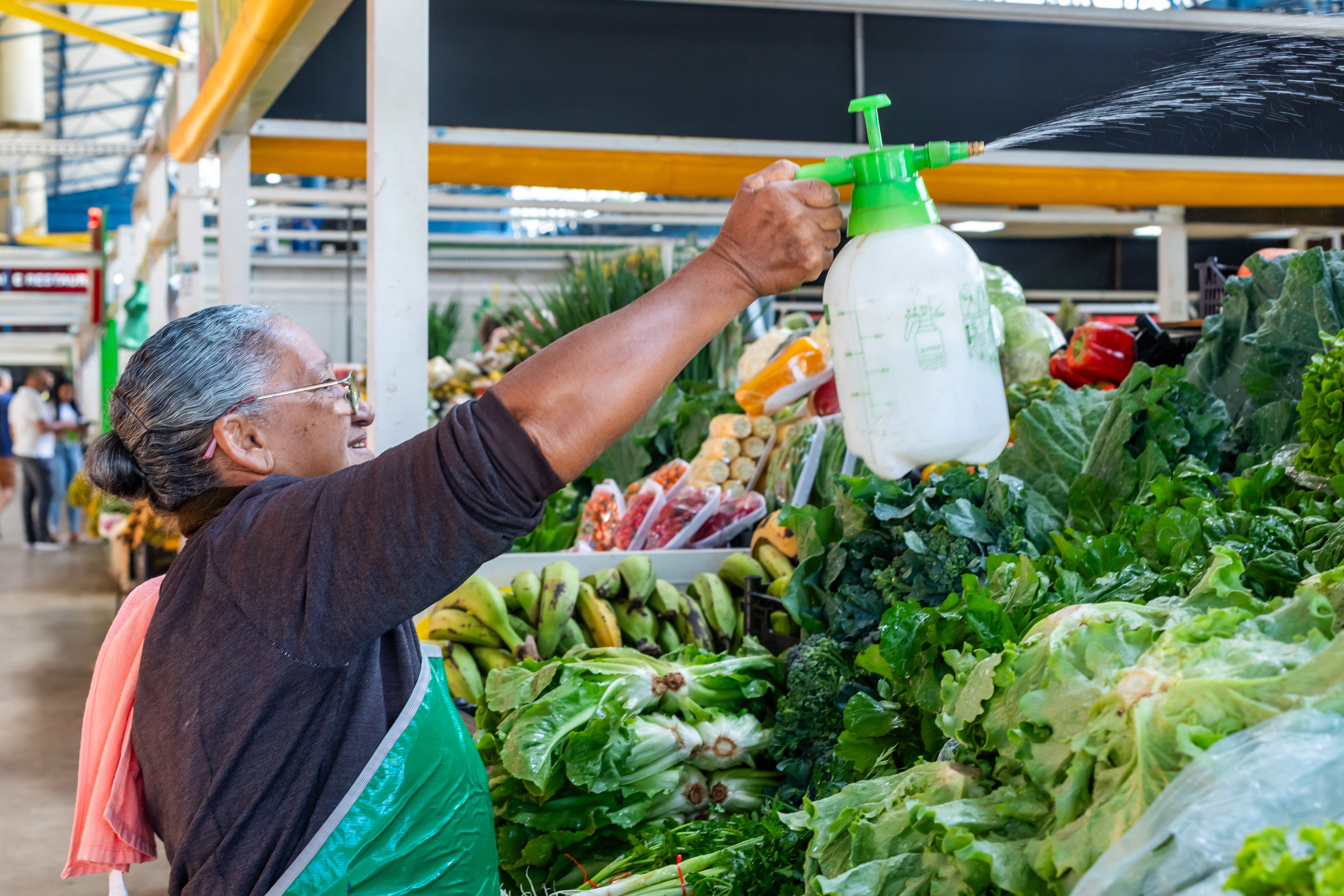 Prefeitura entrega 142 Termos de Permissão para o Mercado do Porto nesta quarta