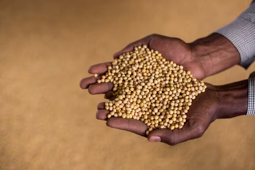  Produção de soja no Brasil deve superar 182 milhões de toneladas em 2025/26