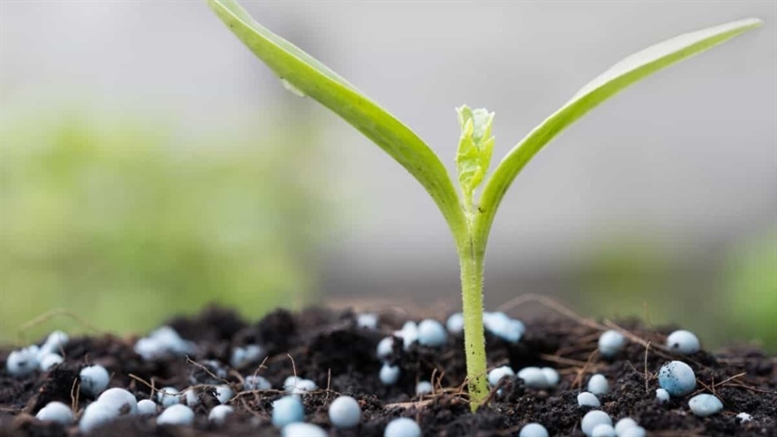 Produção e logística de fertilizantes avançam na Rússia