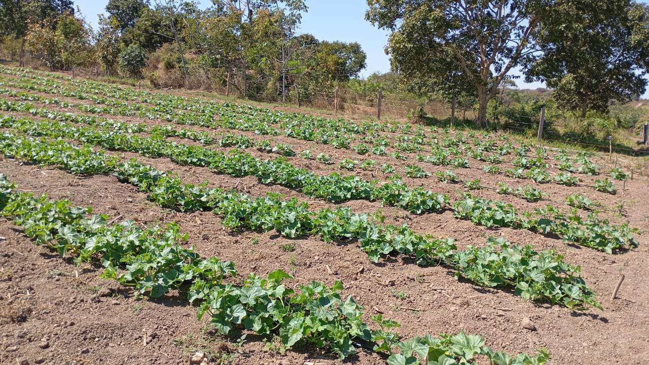 Produtores rurais de Várzea Grande devem entregar declaração de ITR até o dia 30