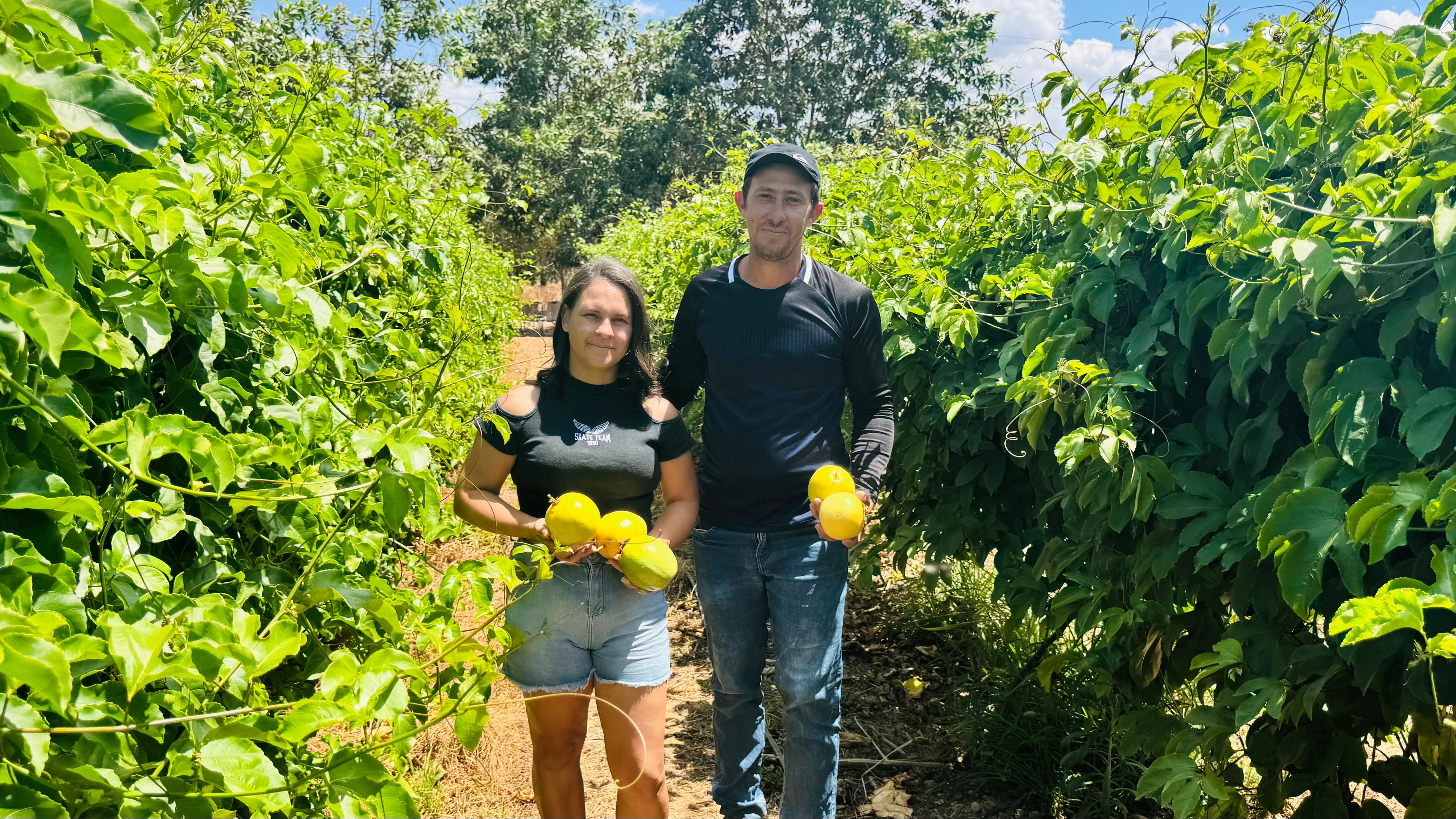  Seaf vai destacar potencial do maracujazeiro durante a GreenFarm Show 2025