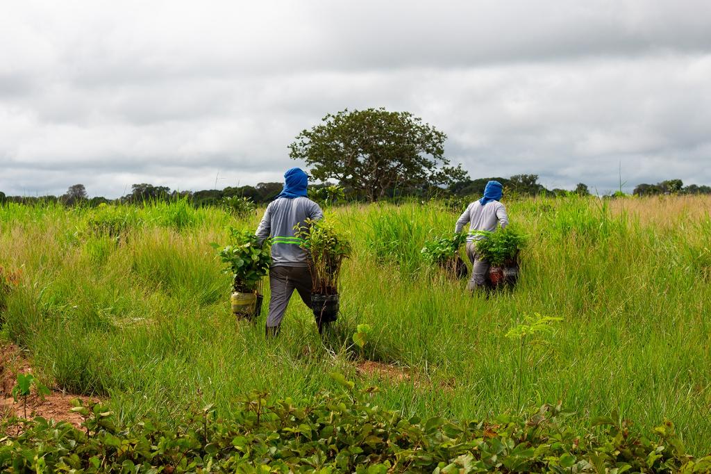  Sema e parceiros lançam segundo lote do Programa Todos pelo Araguaia nesta quinta-feira (23)