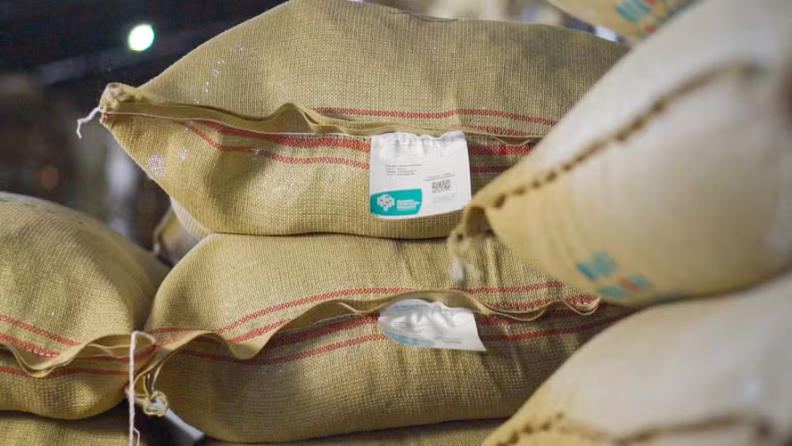  Setor de café perde R$ 66,1 milhões em 2025 com infraestrutura portuária