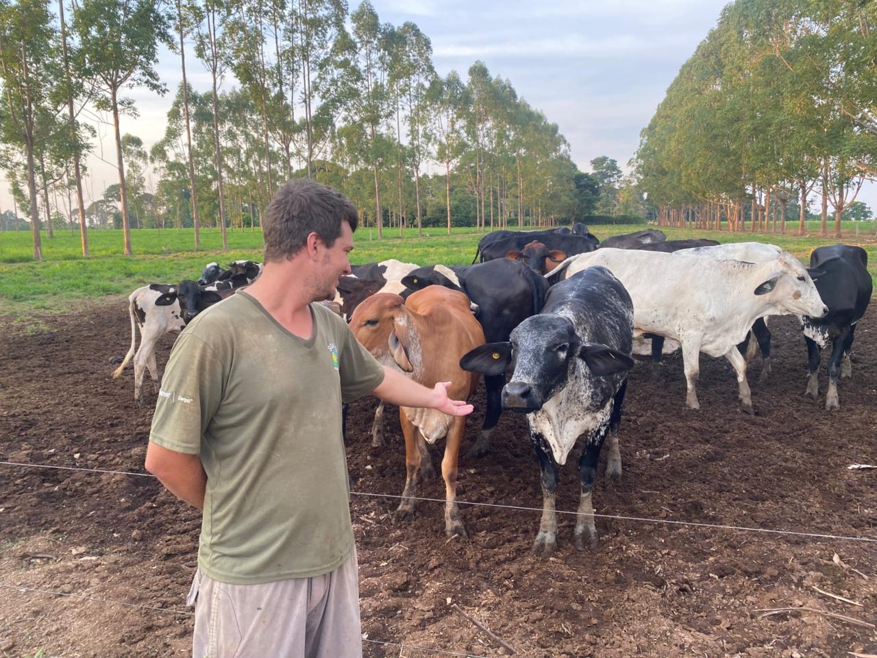  "Tínhamos uma produção boa. Com o melhoramento genético, fomos além. Isso mudou tudo”, afirma produtor de Alta Floresta