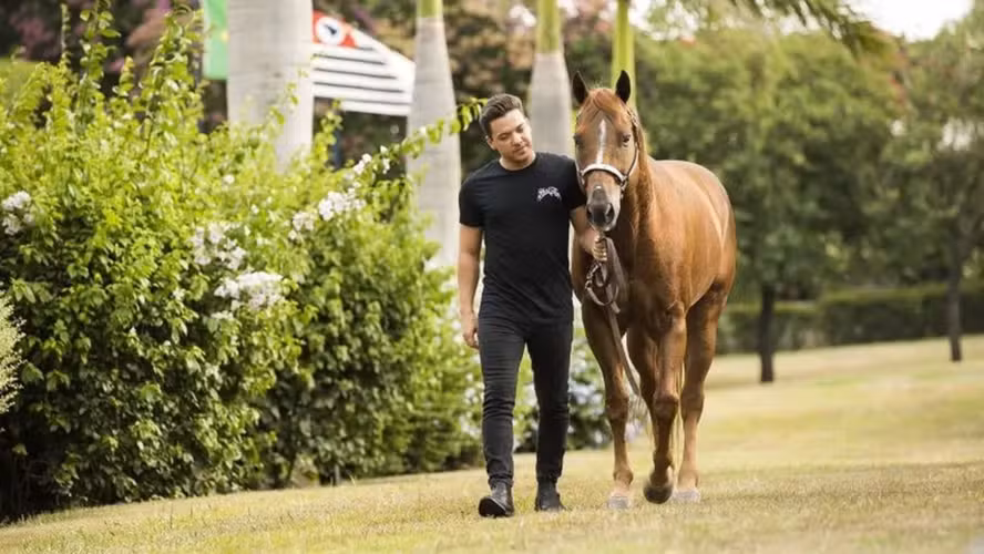  Wesley Safadão fatura R$ 12 milhões em leilão de cavalos Quarto de Milha